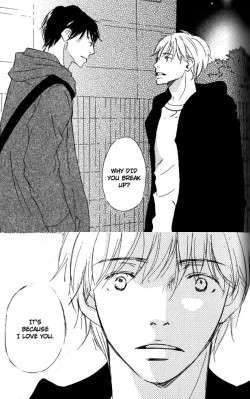 wonder-yaoi-land
