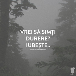 andreicotu